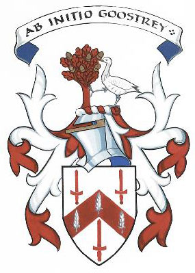 The arms of Martin Goldstraw